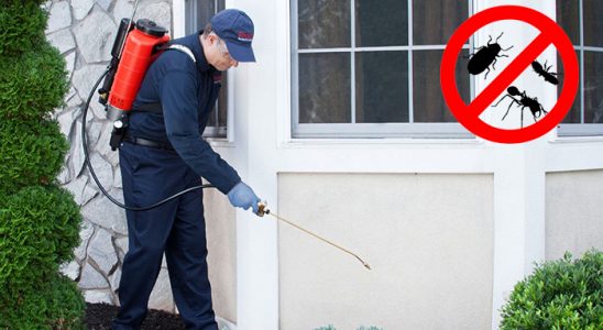 Akyaka Hamam Böceği İlaçlama böcek ilaçlama ve haşere kontrolü — ilaclama-tr.com